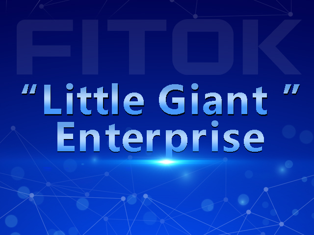 FITOK Won the Title of  "Little Giant"  Enterprise